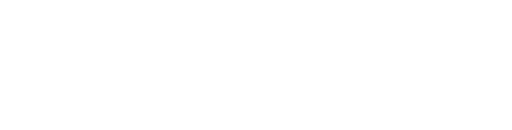 Logo Boldly Studio